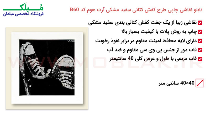 مشخصات تابلو نقاشی چاپی طرح کفش کتانی سفید مشکی آرت هوم کد B60