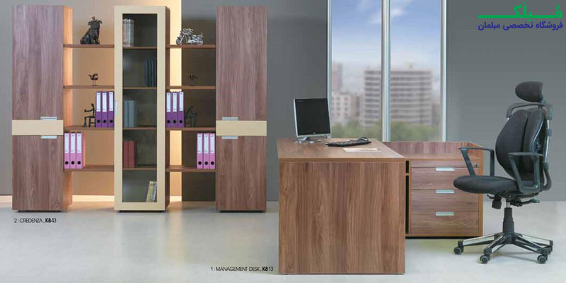 نمایی از یک دفتر مدیریت، مجهز شده به سری پاپیتال کارنو